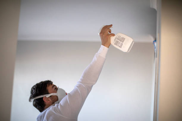 Certified Mold Removal in Keyser, WV
